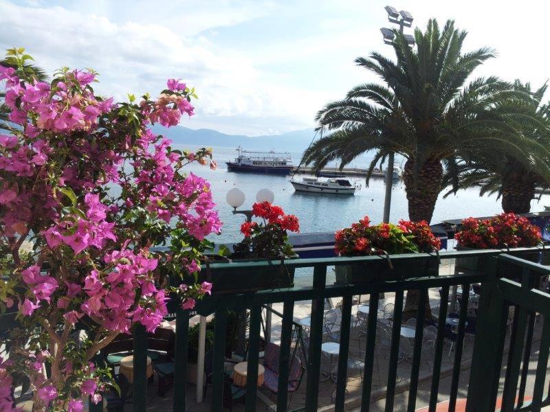 Apartman Iris Gradac  Luaran gambar